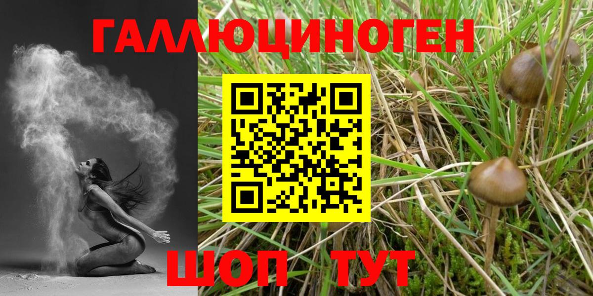 Галлюциногенные грибы Magic Shrooms Ялта